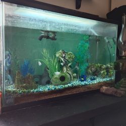 35gal Fish Tank