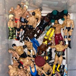 box of wwe wrestlers 