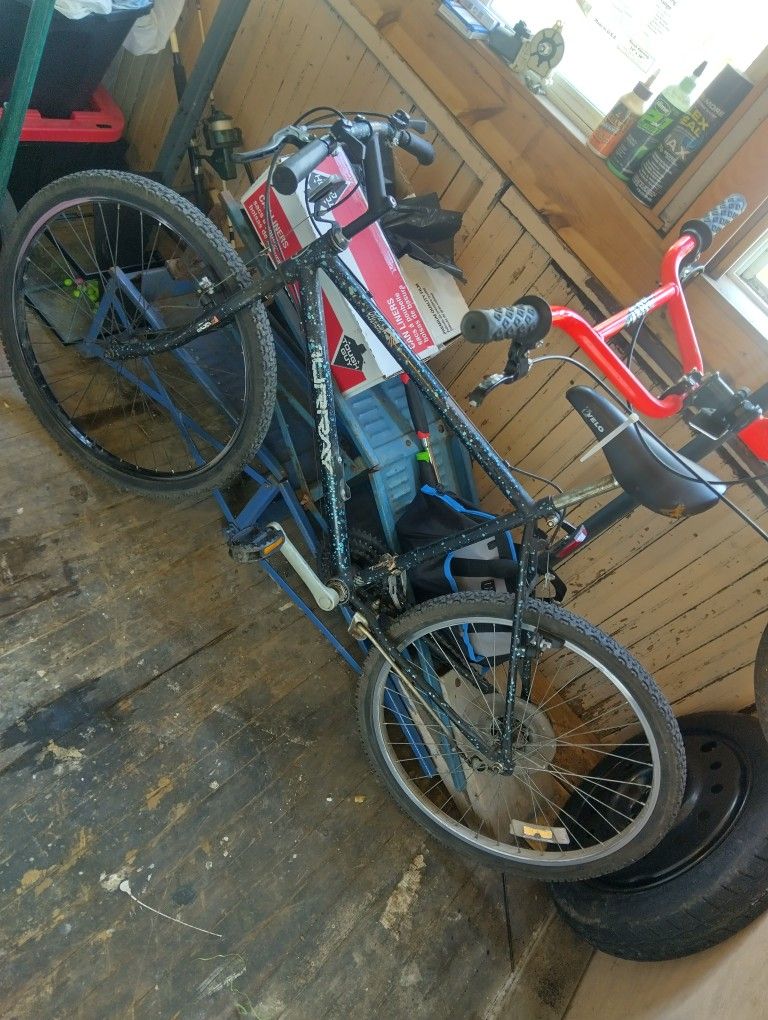 Mountain Bike