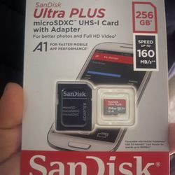 SanDisk Ultra Plus 256 GB