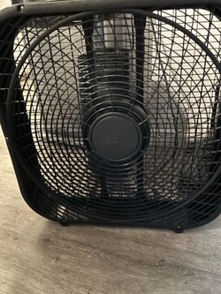 Fan