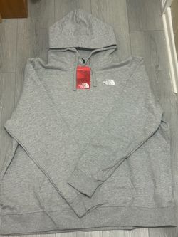 Hoodie the north face