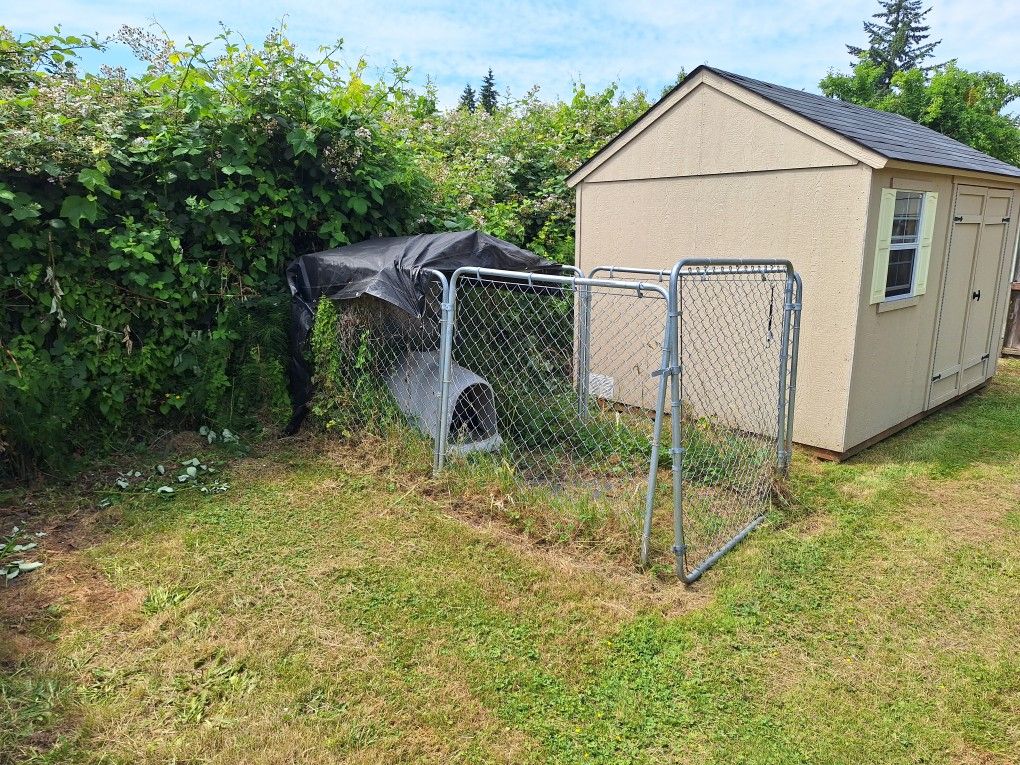 Chain Link Dog Kennel with Dog Igloo