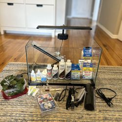10 Gallon Rimless tank with all Accessories 