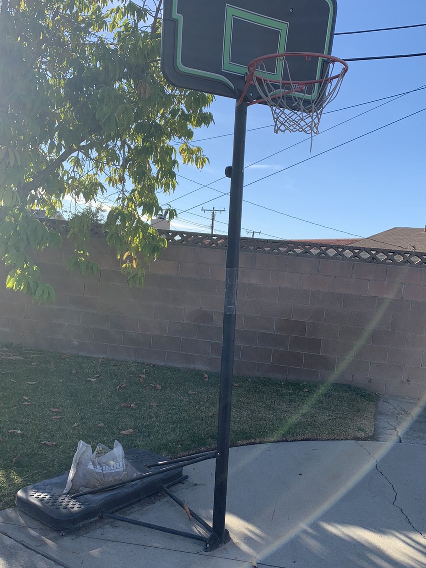 Lifetime Basketball Hoop Court