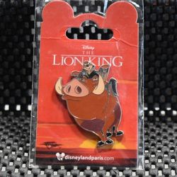 Disney Lion King Timon & Pumbaa Paris Pin