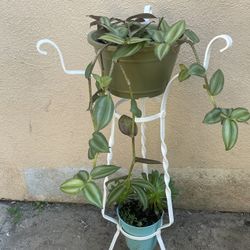 Vintage Plantas Stand