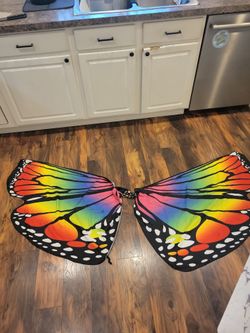 Rainbow Butterfly Costume Cape
