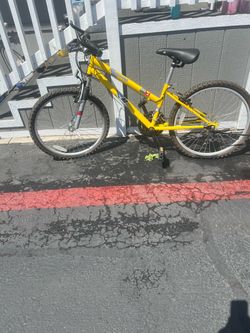 Appaloosa Yellow Mountain Bike