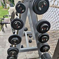IGX FIXED CURL BARS 10-110LBS WITH WEIGHT TREE