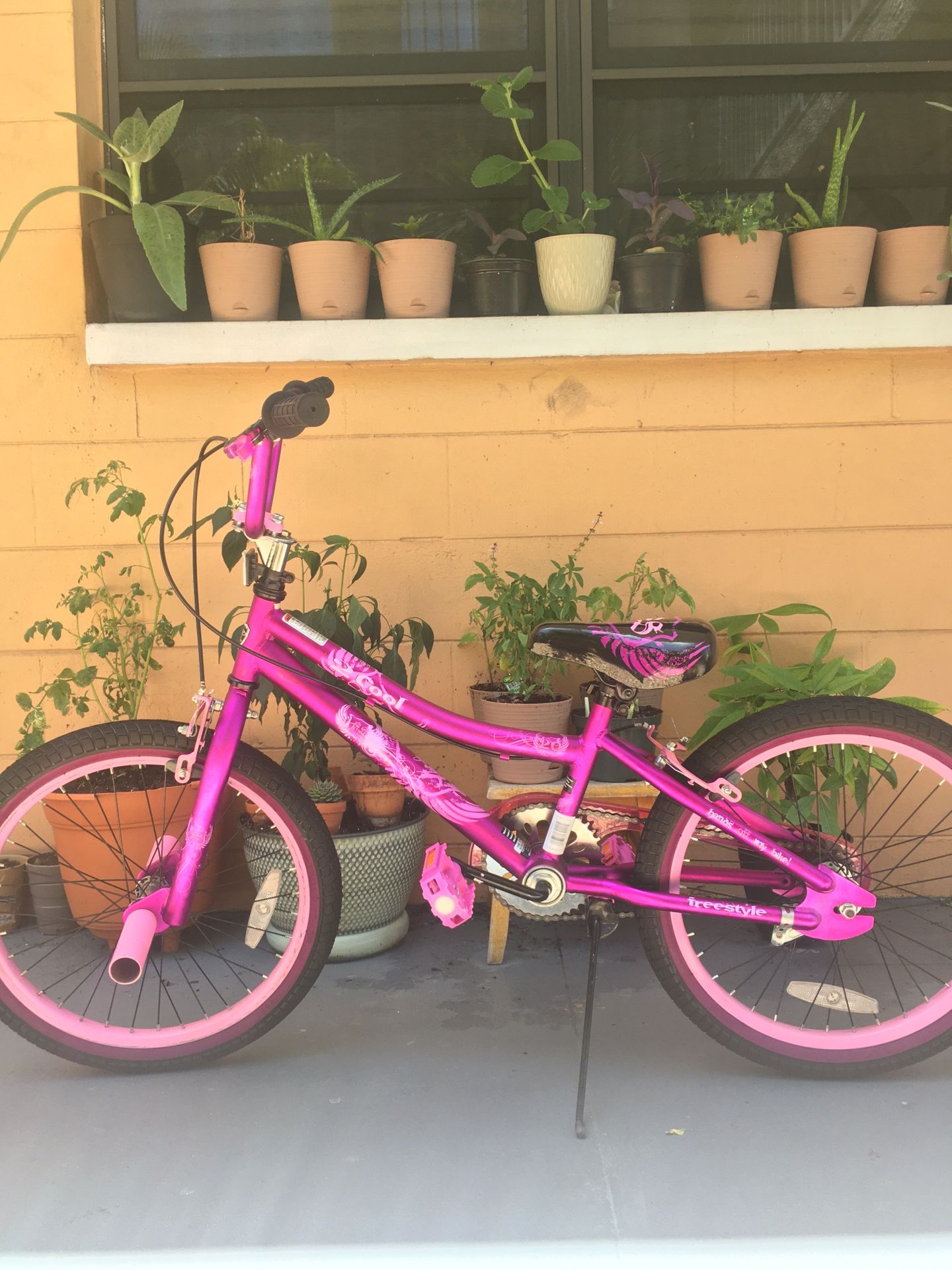 Metallic Hot Pink 20” Kent Bike