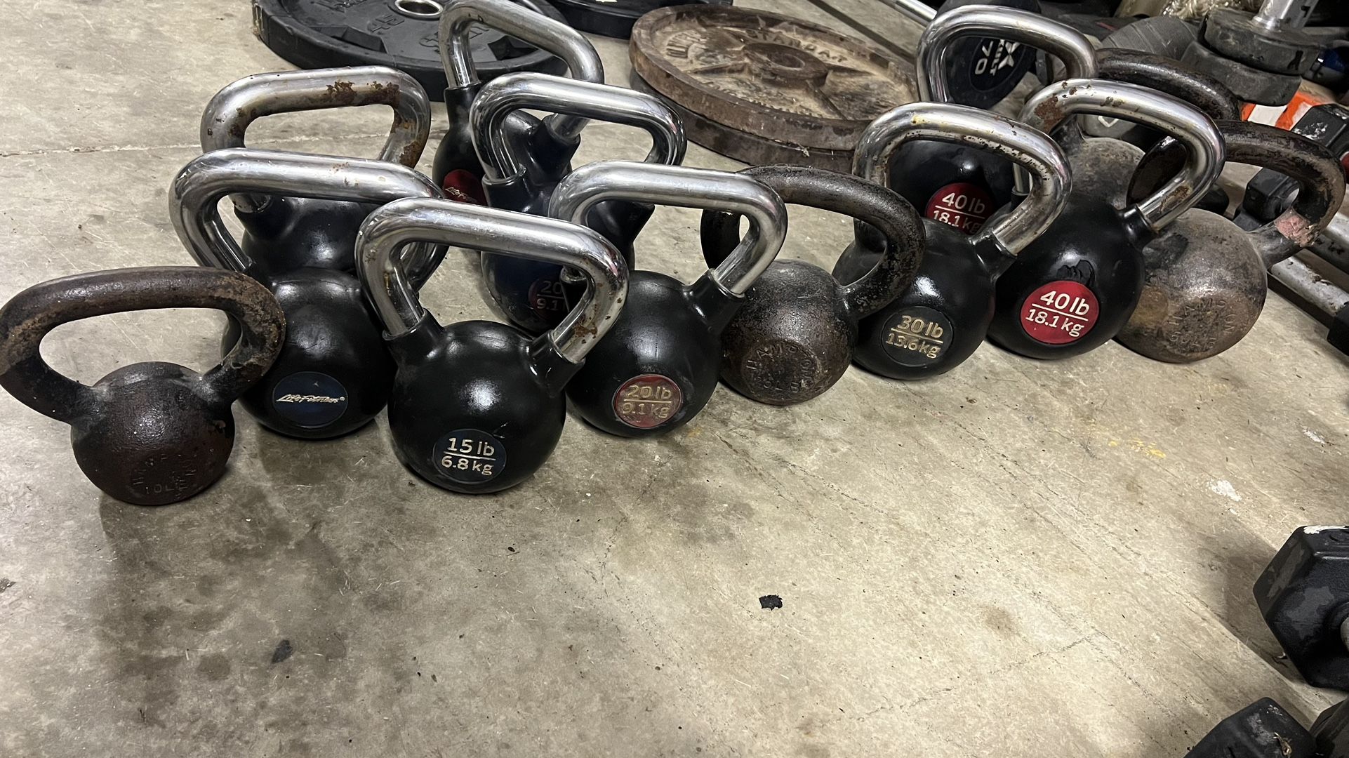 Kettlebells (Brands: LifeFitness & Hampton)