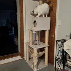 6 foot cat tree