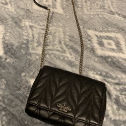 Kate Spade Purse/Clutch