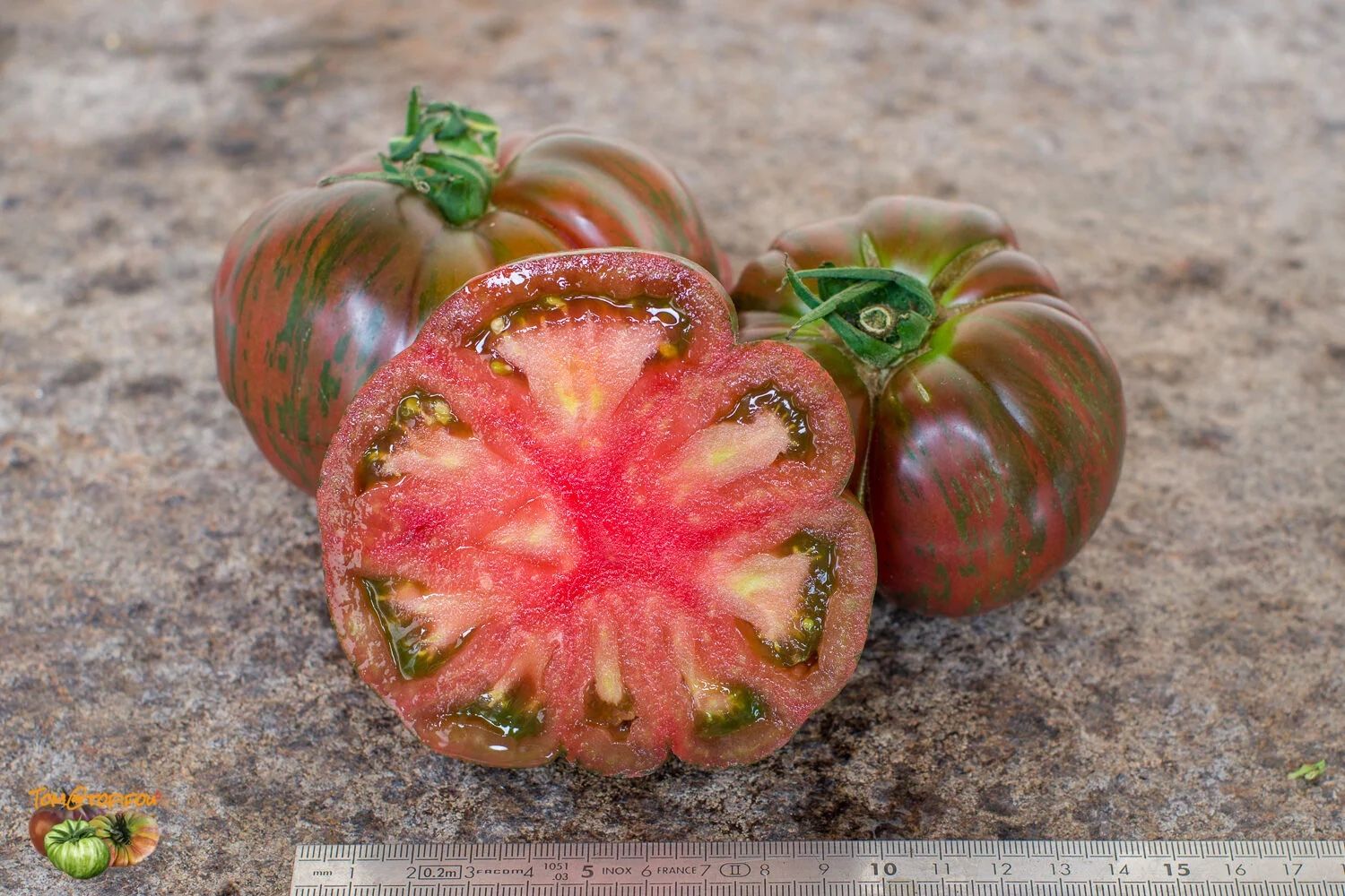 Organic Tomato Plant - Pink Berkeley Tie Dye 