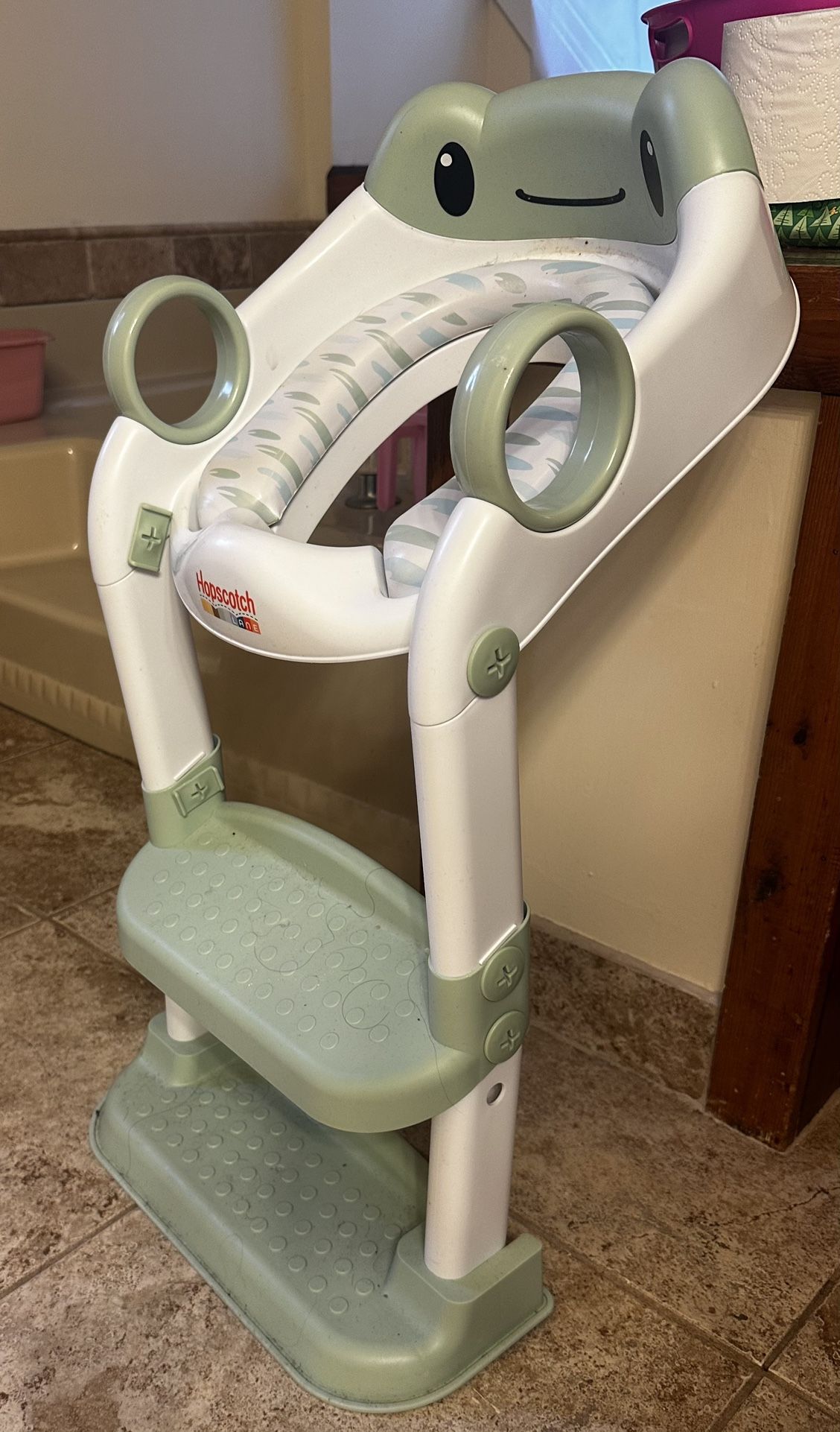 Toddler Potty Seat With Ladder