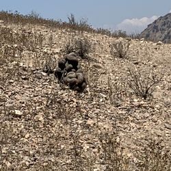 Land For Sale En Tijuana Baja Cal