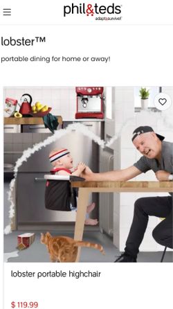Portable High Chair