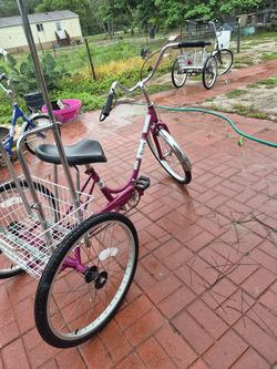 Adult Tricycle with canopy