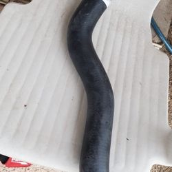 Radiator hose