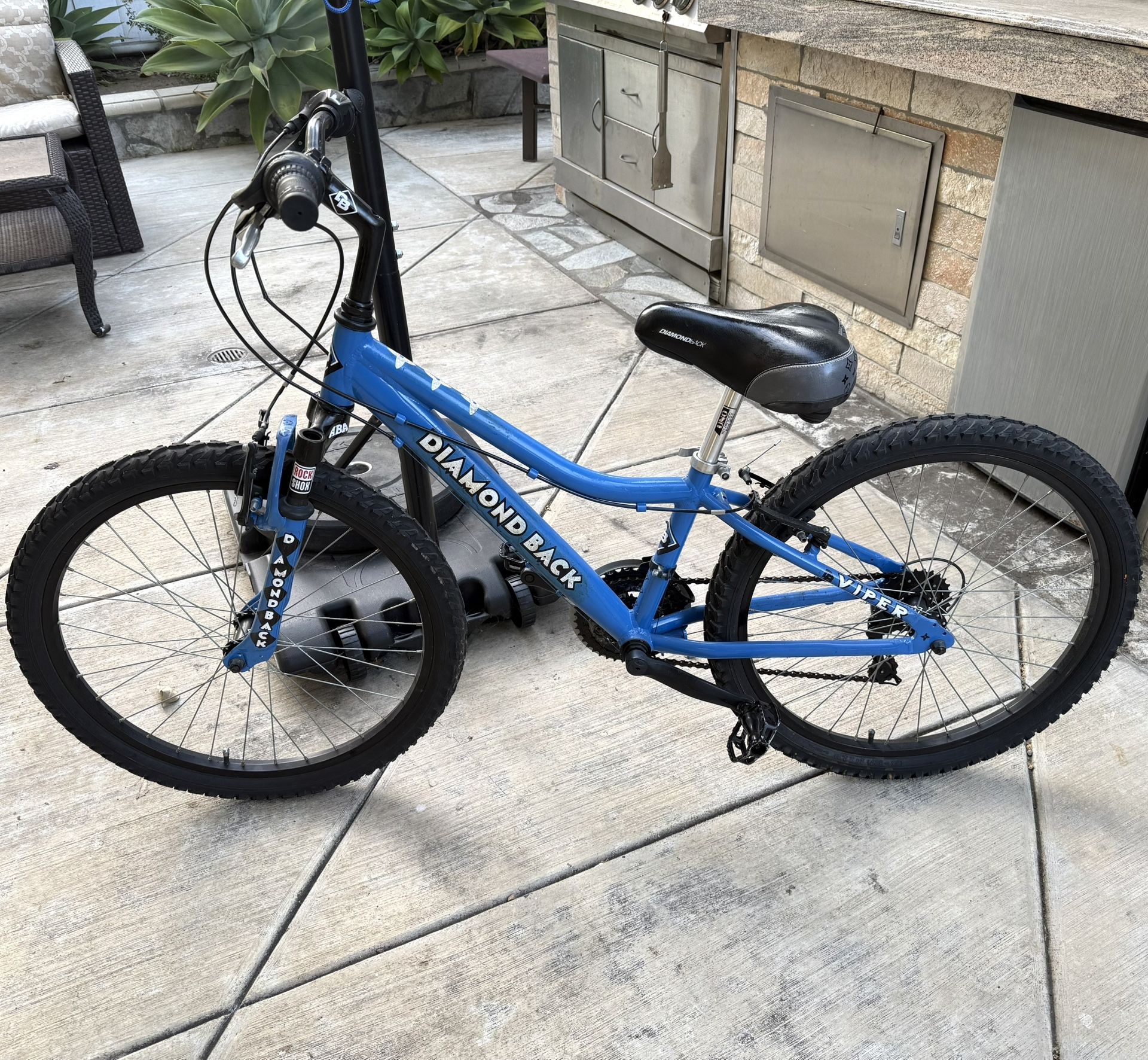 24” 1983 Women’s Diamond Back Viper-Louis Vuitton Custom Colab  Mountain Bike