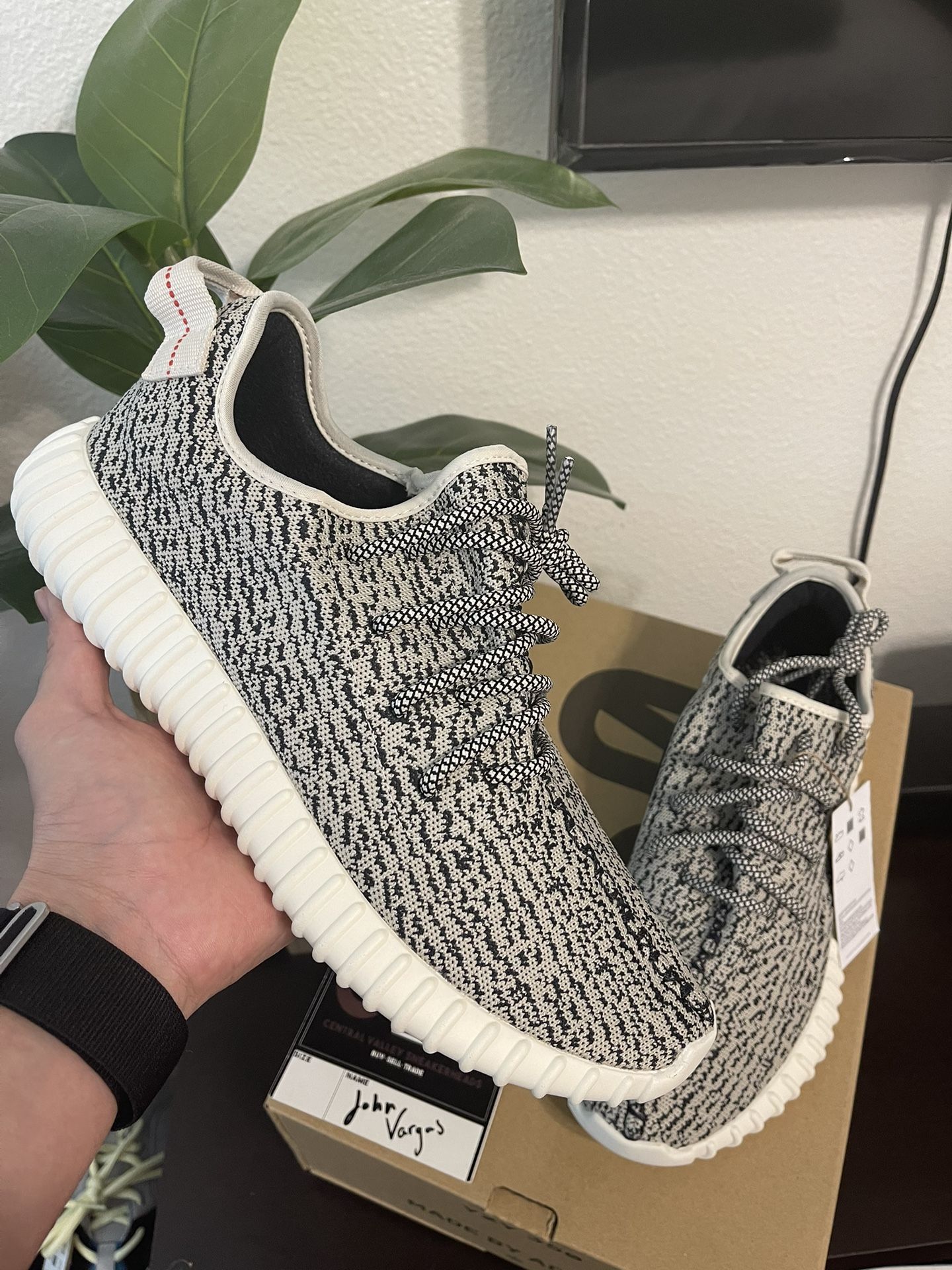 DS Brand New Adidas Yeezy 350 V2 Turtledove Size 10.5