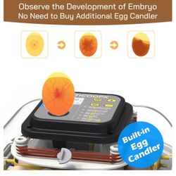 Egg Incubator