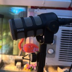 Rode Mic