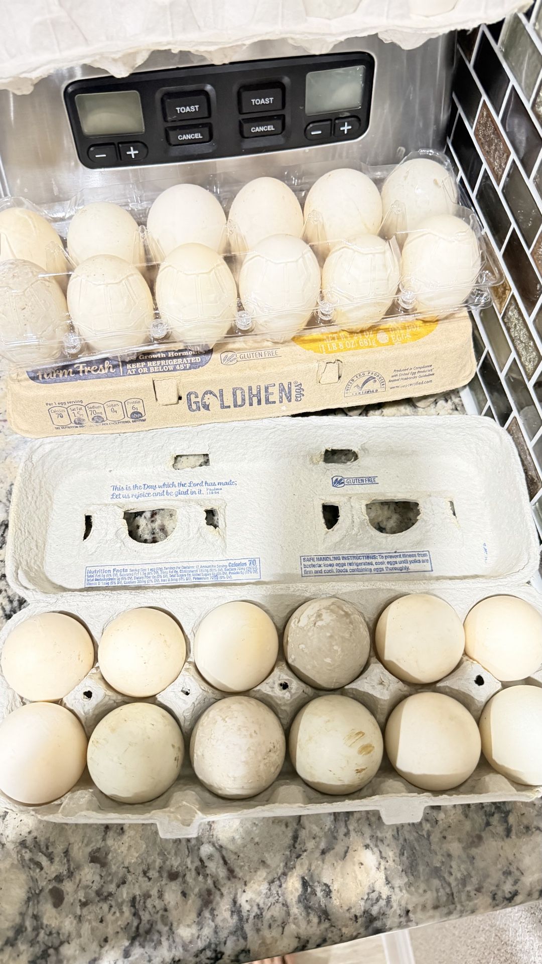 Duck eggs