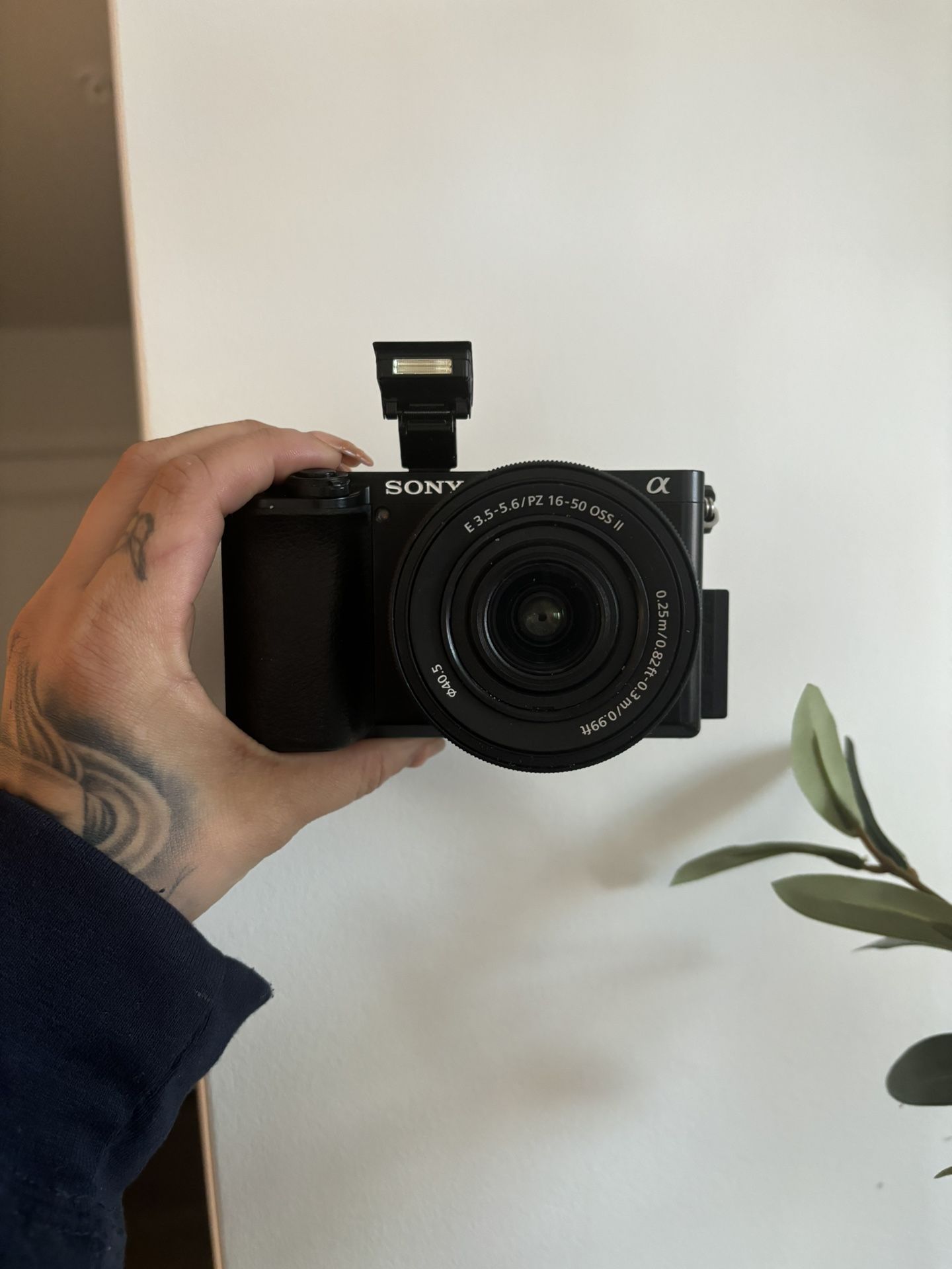 SONY 6100