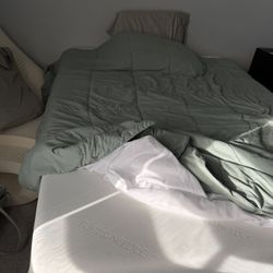 Queen Mattress (Tuft And Needle) And Bed frame