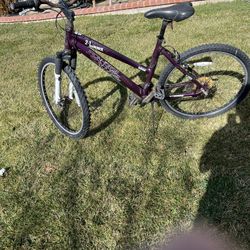 Road Bike 