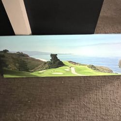iCanvas Scenic Landscape Canvas Piece. Size of piece is: 48 x 16.