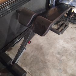 Fitness Reality Bench $145 O.B.O