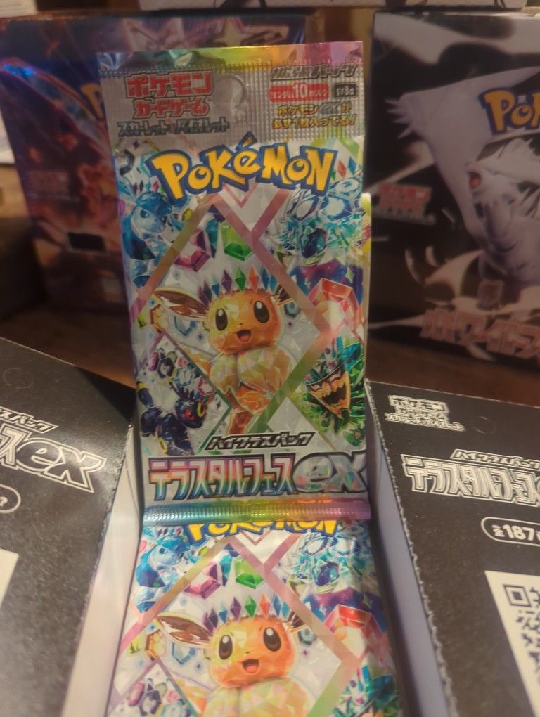 5 Packs Terastal Festival
