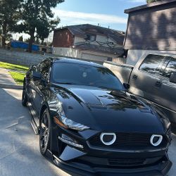Mustang Hood