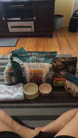 Guinea pig items