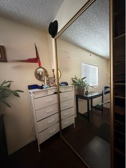 Closet door mirrors