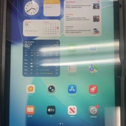 iPad 10th Gen