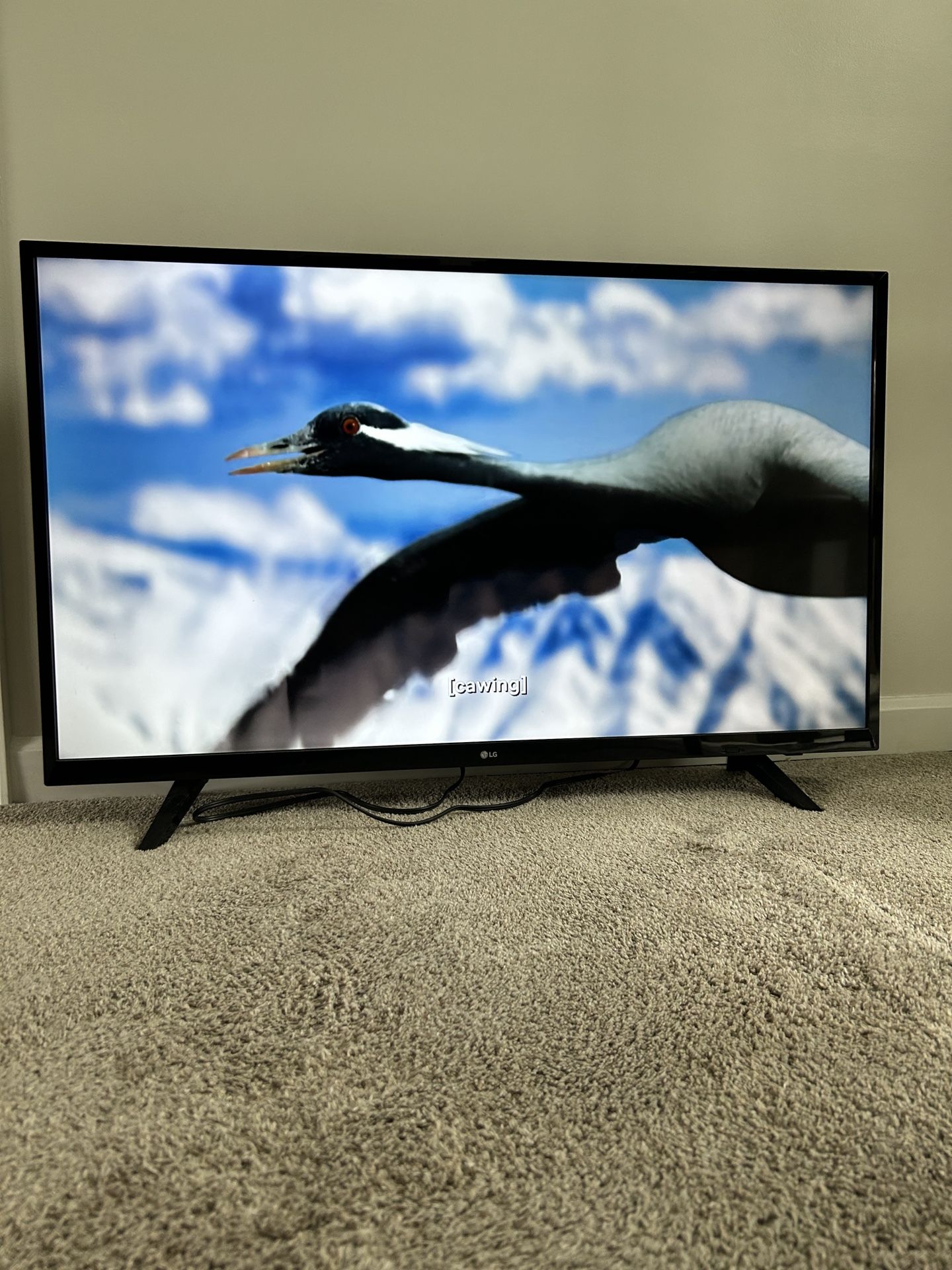 LG TV 43”