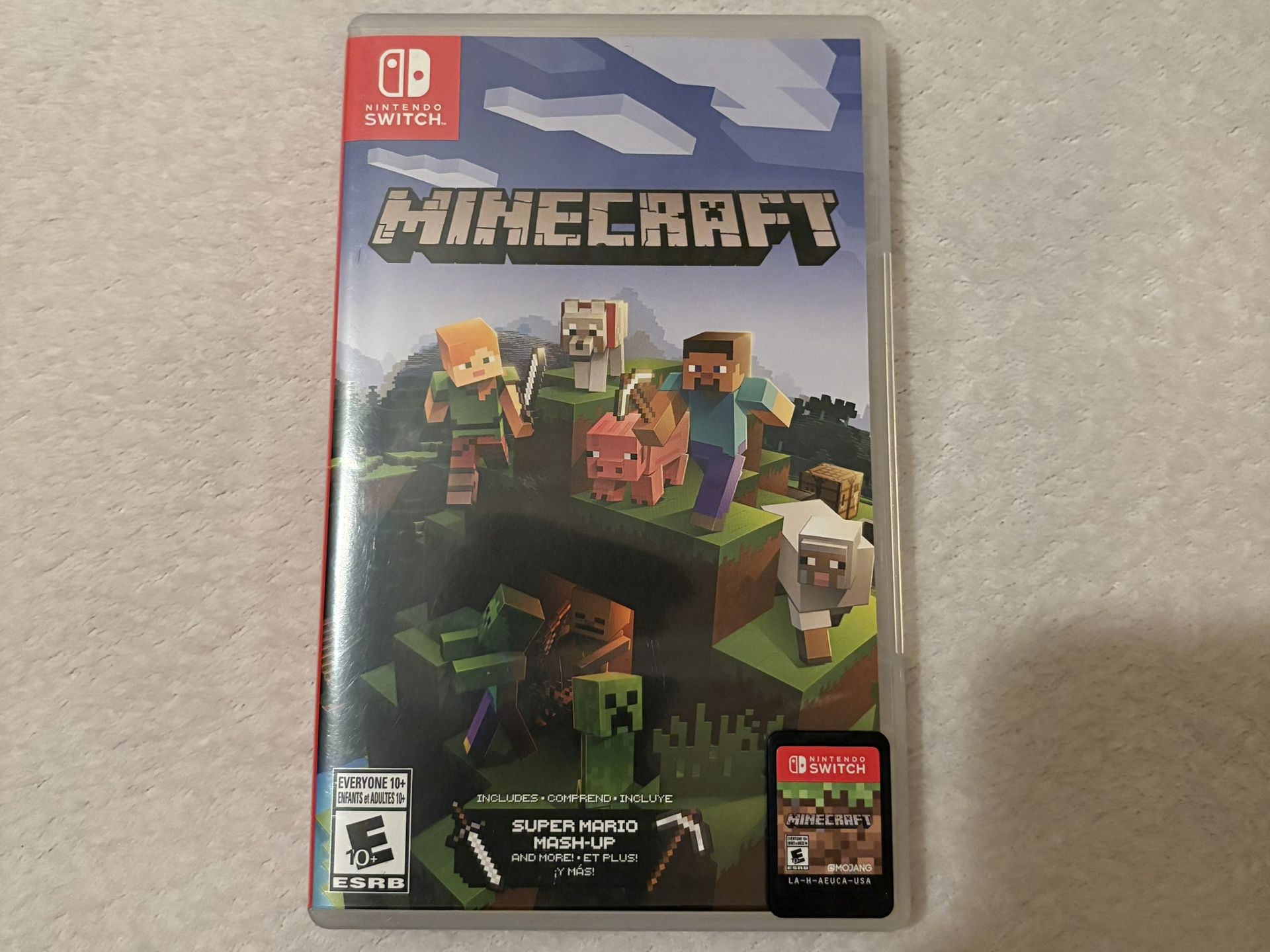 Minecraft Nintendo Game 