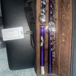 Flute Purple For Beginners 