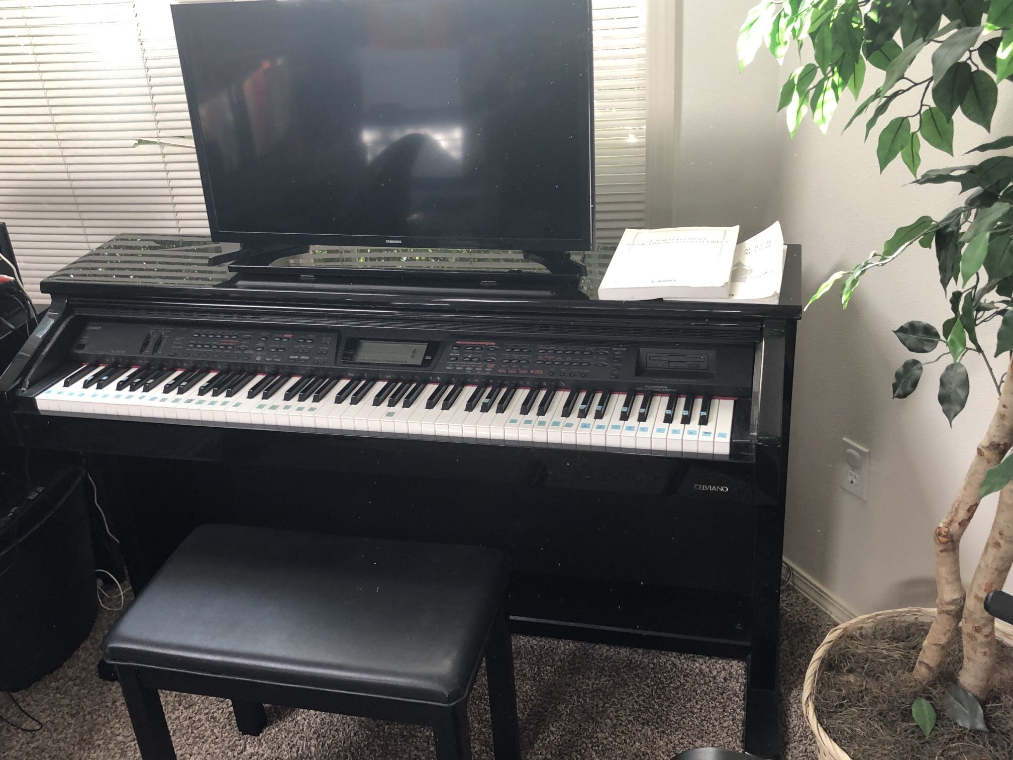 Casio AL-150R Celviano Digital Piano