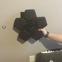 Wall Mounted Light Up Punching Bag 