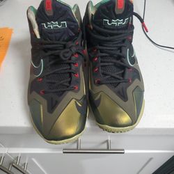 Lebron 11 King Pride
