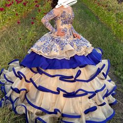 Vestido De Quinceañera / Quince Dress 