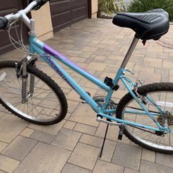 Schwinn RoadMaster 18 Speed bike. 