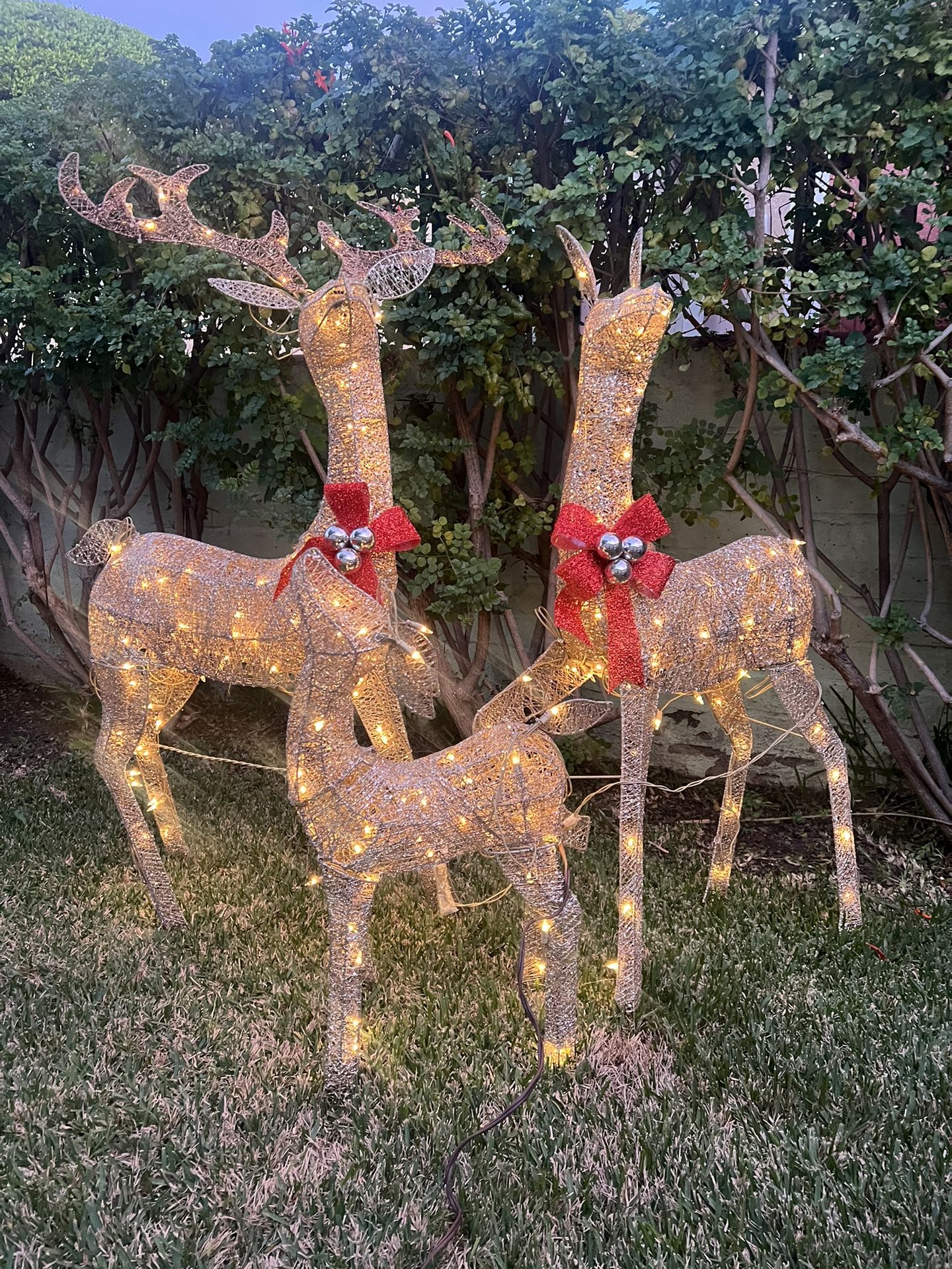 Venados Navideños- lighted deer family