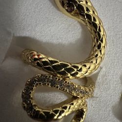 Snake Ring 