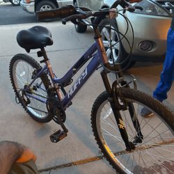 Huffy Mountain Bike Normal Wear 